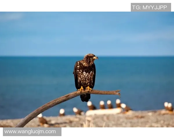 独行足球明星高清照片全景展示引领潮流与激情的运动风采